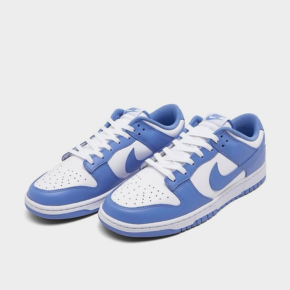 NIKE DUNK LOW RETRO CASUAL SHOES - Picture 7 of 7